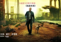 我是传奇在线观看,孤独英雄的末日求生之旅