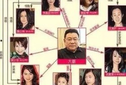 刘銮雄爆料录音视频大全,录音视频大全揭秘豪门恩怨