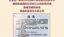 眉山头条爆料最新消息,揭秘某重大事件背后真相！