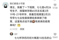 娱乐吃瓜君和七七谁赢,七七与吃瓜君的巅峰对决，究竟谁才是赢家？