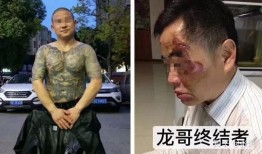 深圳司机龙哥最新爆料,揭秘背后惊人真相