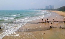 海南赶海爆料事件视频播放,视频揭示海滩奇观与生态挑战