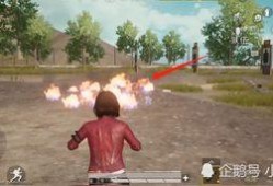 和平精英10月新宠物最新爆料,萌宠集结，趣味升级！